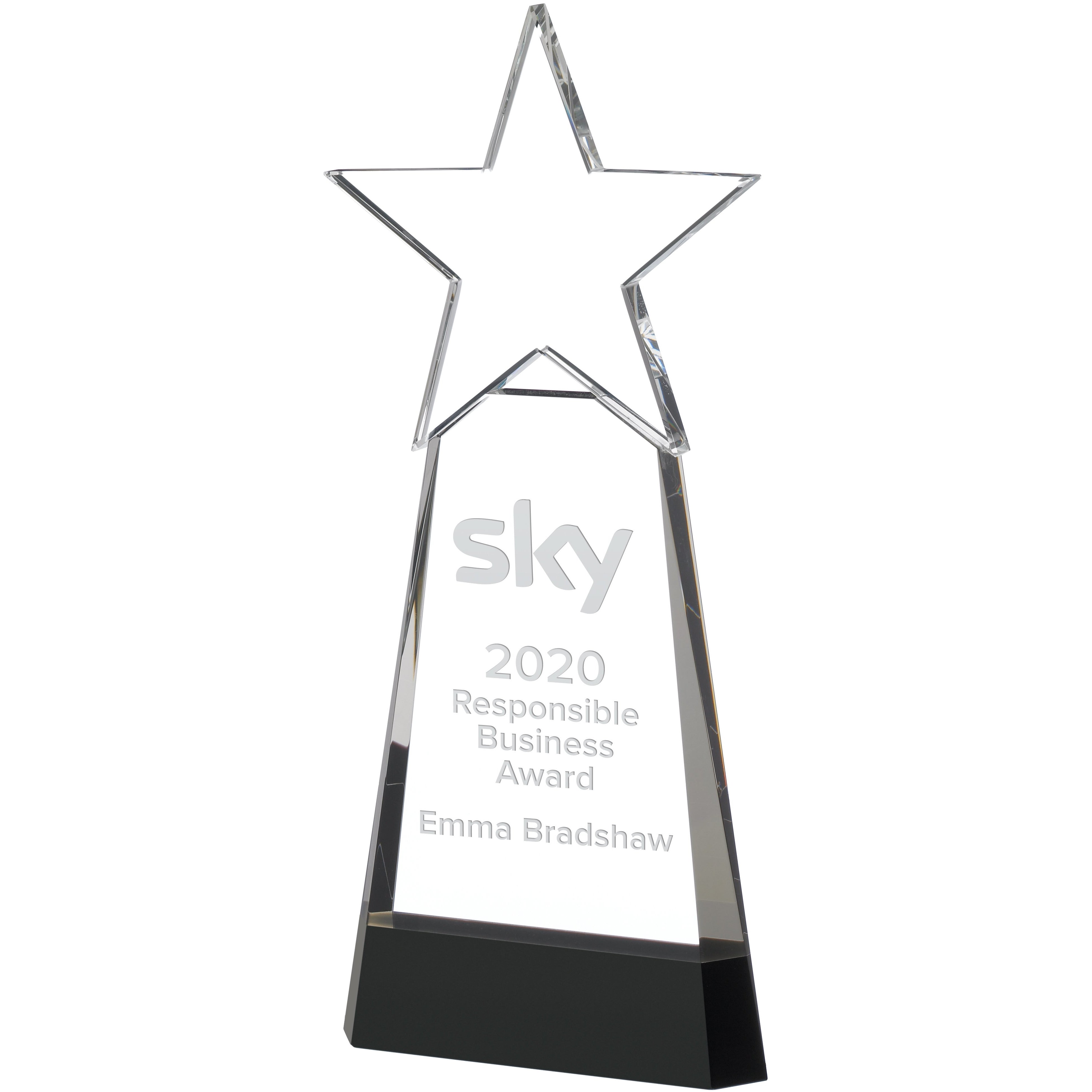 Star On Black Base Award (CLEARANCE)