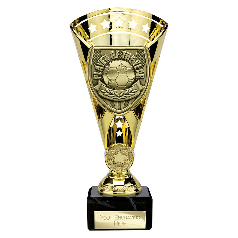 Cobra Football Trophy Cup Player of the Year (Gold)