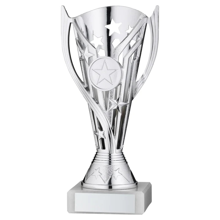 Budget Friendly Engraved Trophy Cups