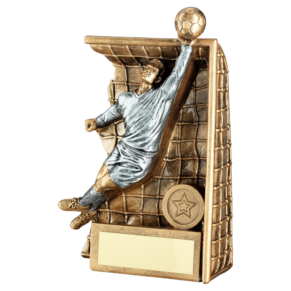 Bronze/Silver Male Keeper In Goal Award