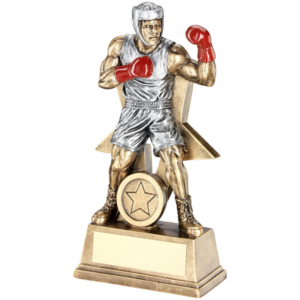 Male Boxing Figure Trophy with Star Backing