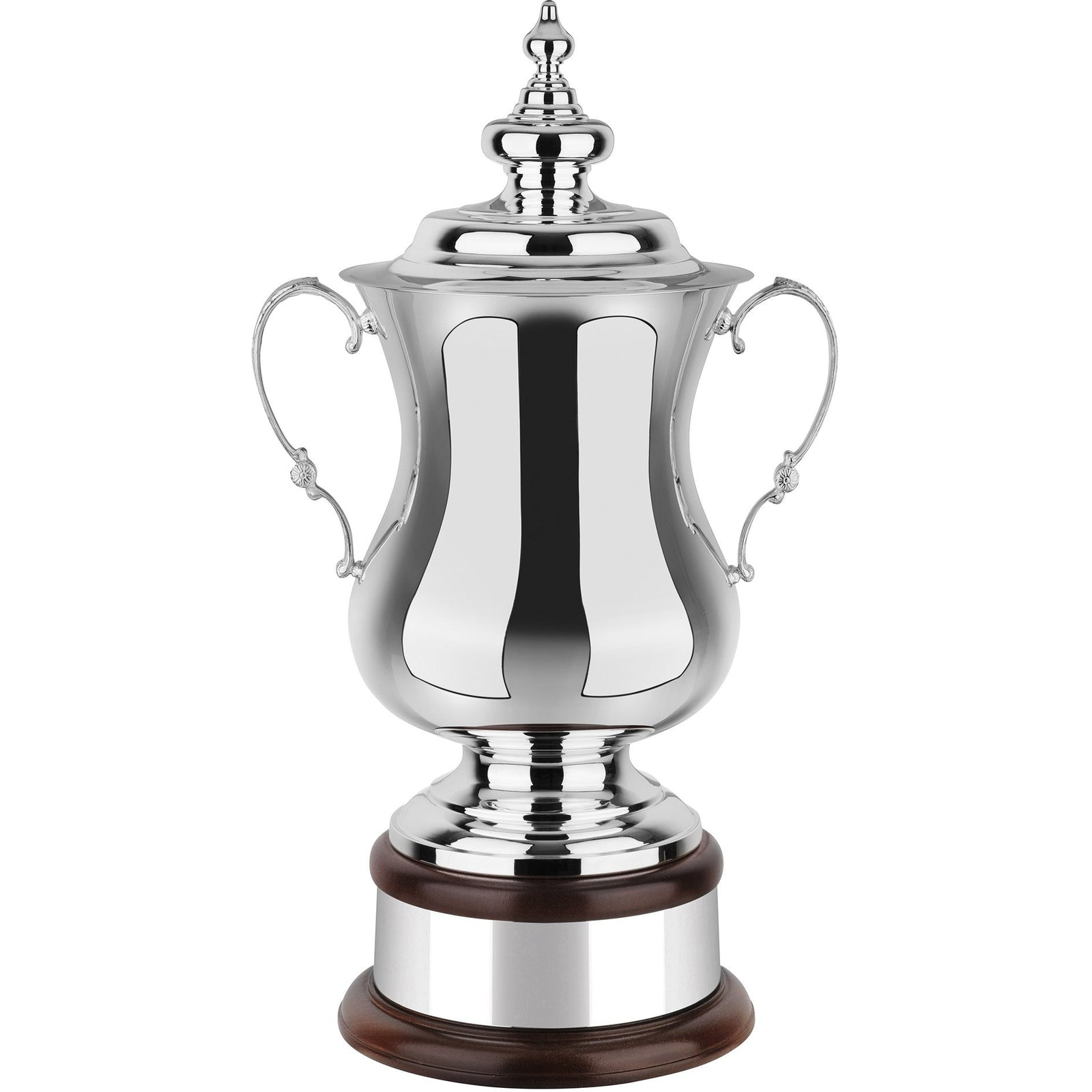 Silver Plated 18.25in Ultimate Award