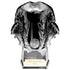 Invincible Football Heavyweight Shirt Trophy - Carbon Black & Platinum