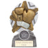 The Stars Boxing Plaque Award - Silver & Gold