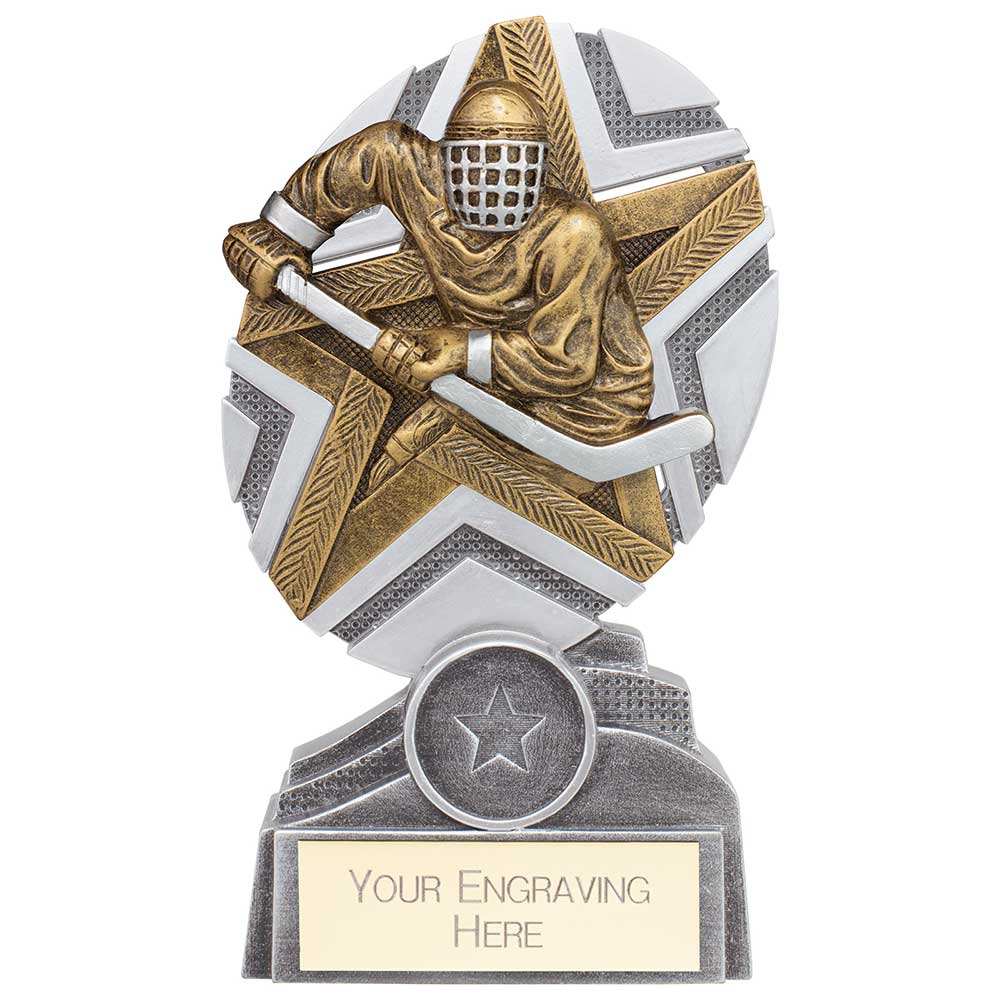 The Stars Ice Hockey Plaque Award - Silver & Gold