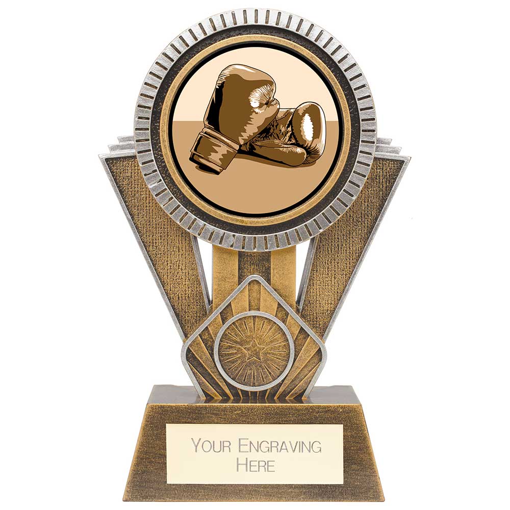 Apex Boxing Award - Gold & Silver