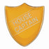 Scholar Pin Badge House Captain Yellow 25mm