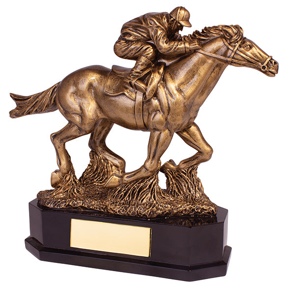 Horse Riding (Equestrian) Trophies