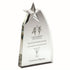 Clear Glass Wedge Award With Detailed Metal Star
