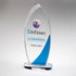 Engraved Curved Glass Trophy on Oval Base