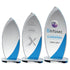 Engraved Curved Glass Trophy on Oval Base