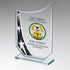 Glass Shield Award with Silver Star Print