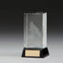 Conquest Pool Snooker 3D Crystal Award 80mm (CLEARANCE)