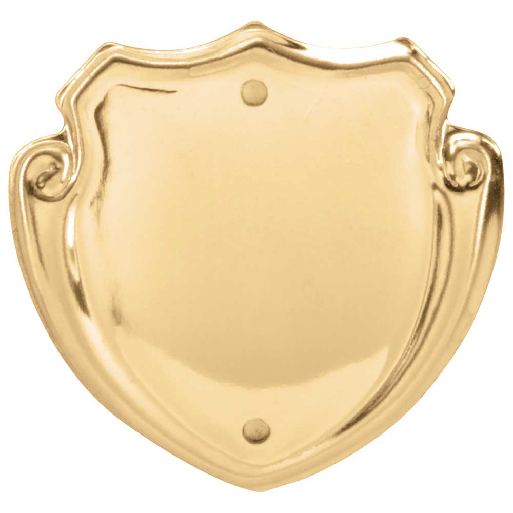 Classic Mini Record Side Metal Shield - Gold (Available Engraved)
