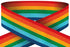 Rainbow Medal Ribbon with Clip