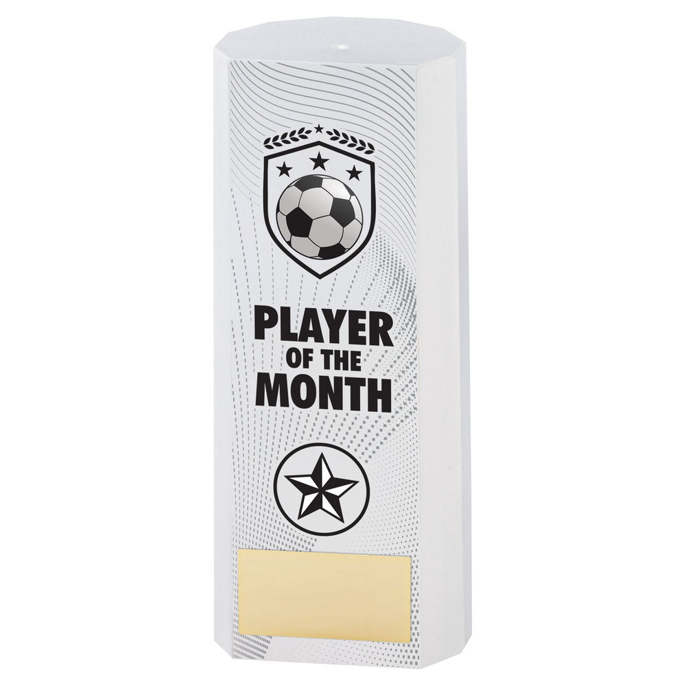 Premier Football Player of the Month Plastic Column Trophy - White