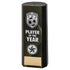 Premier Football Player of the Year Plastic Column Trophy - Black