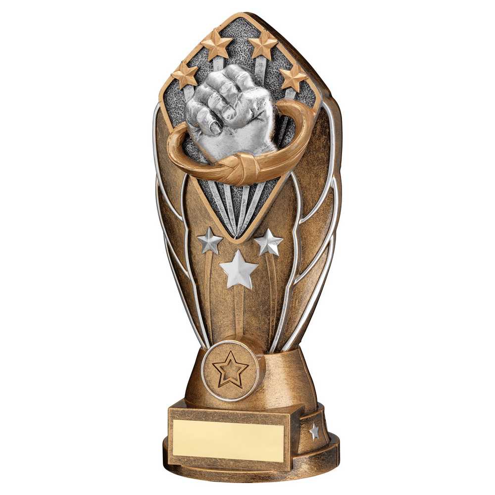 Diamond Column Martial Arts Fist Trophy