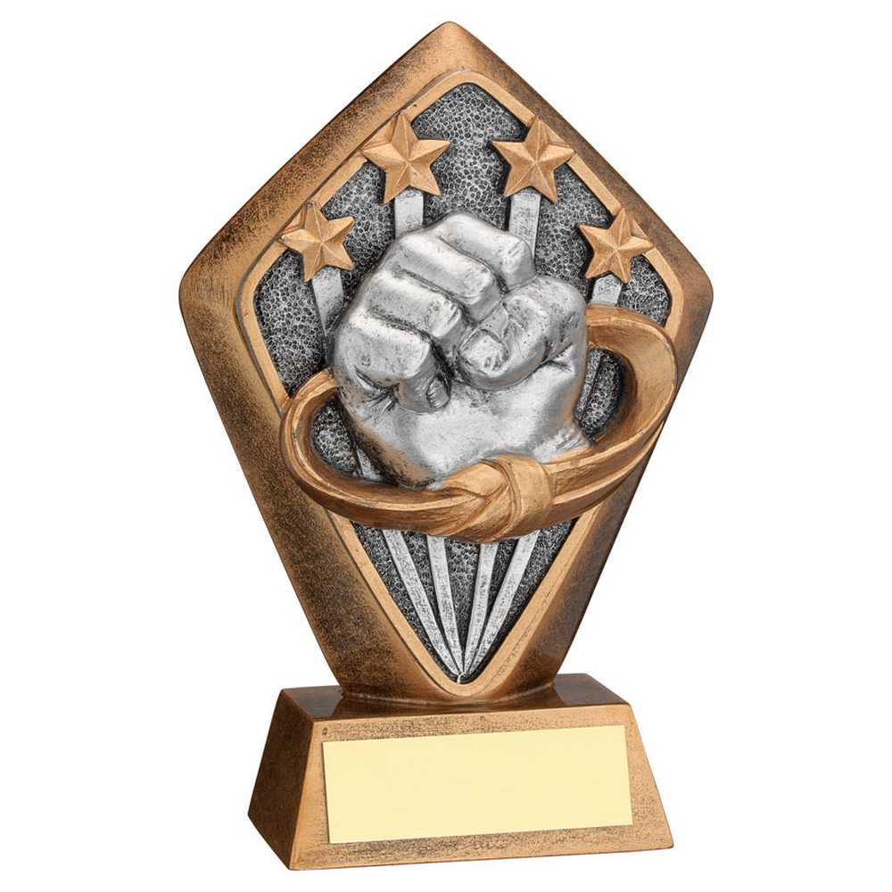 Martial Arts Diamond Fist Trophy Plaque