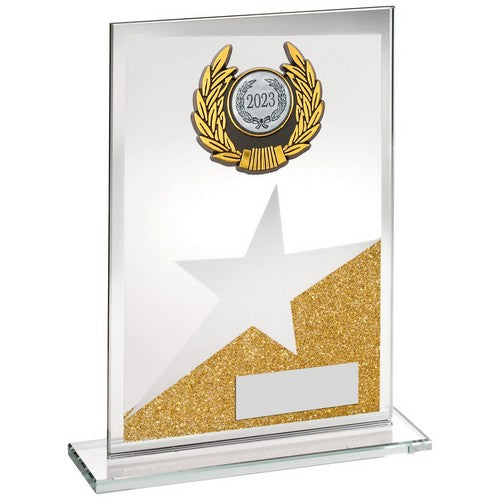 Glitter Gold Glass Star Trophy