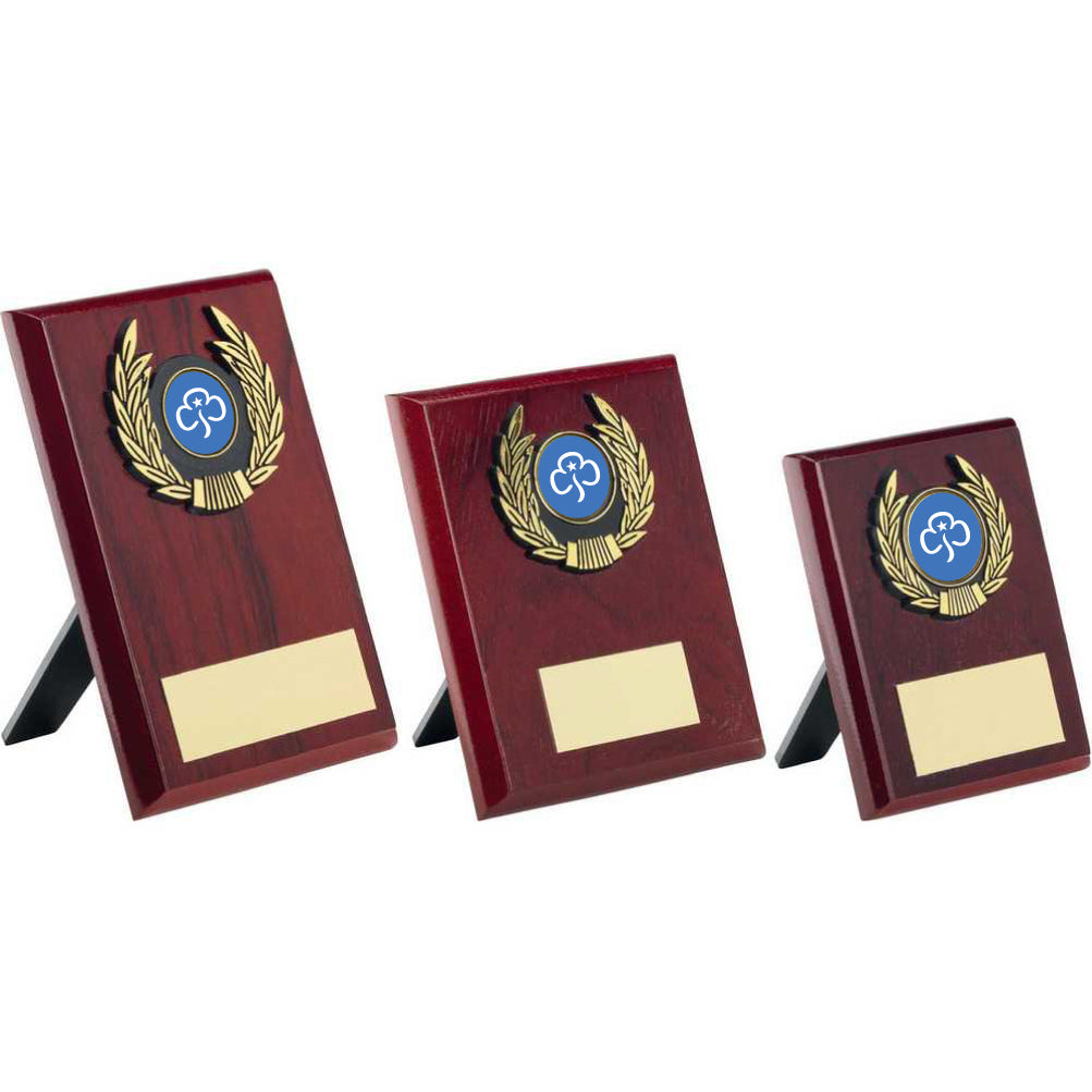 Brownies Wood Plaque Personalised Trophy