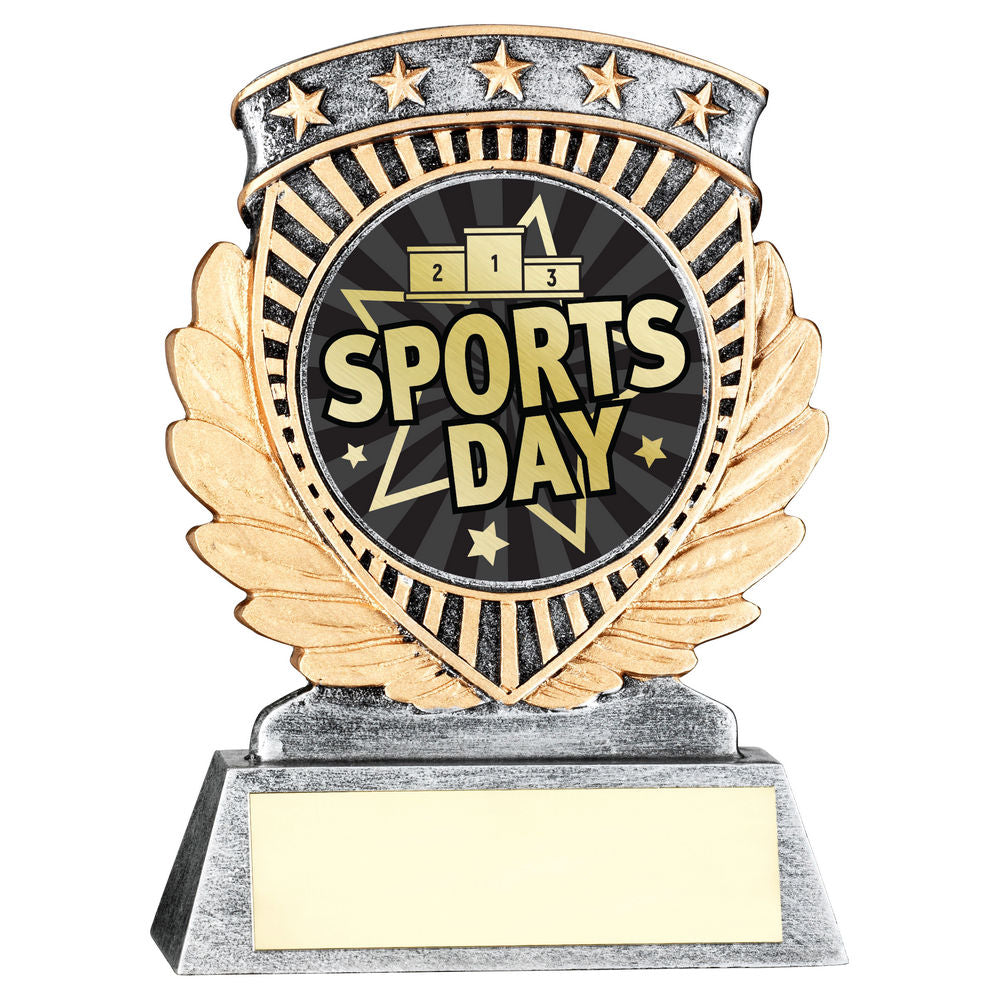 School Sports Day 5 Star Achievement Award