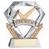 Attendance Mini Diamond School Trophy