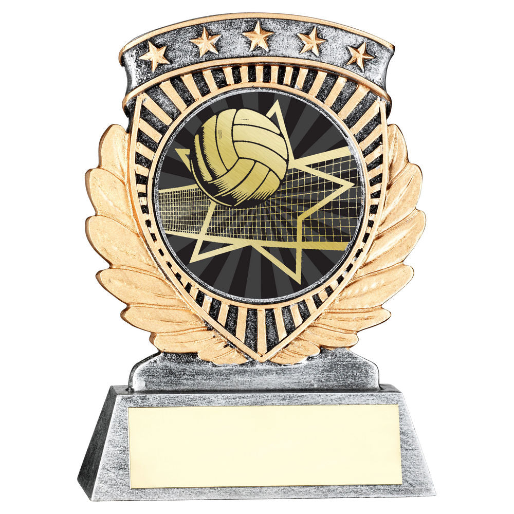 Volleyball 5 Star Achievement Award