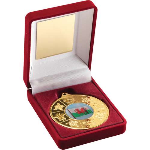 Welsh 50mm Gold Medal in Red Presentation Box
