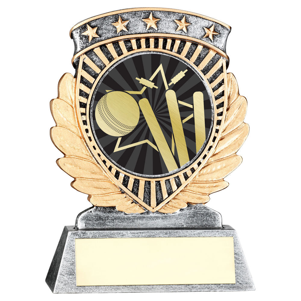 Cricket 5 Star Achievement Award