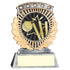 Cricket 5 Star Achievement Award