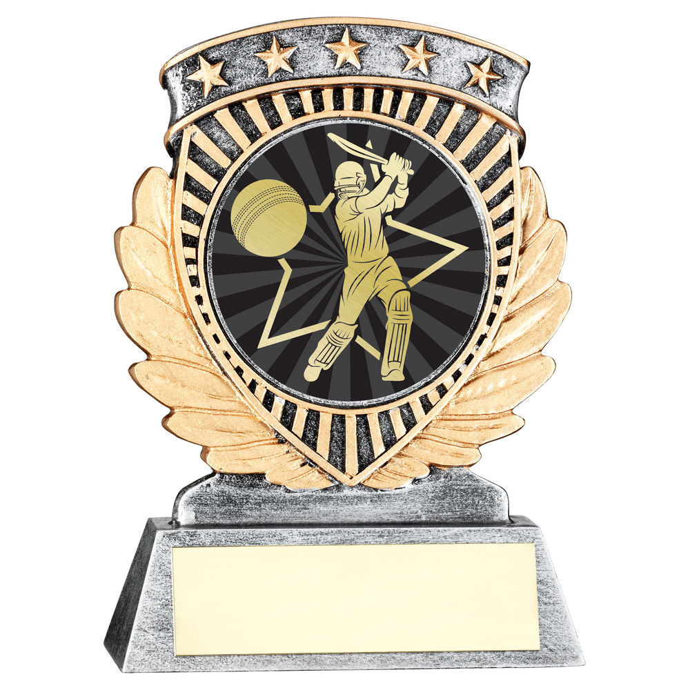 Cricket Batsman 5 Star Achievement Award