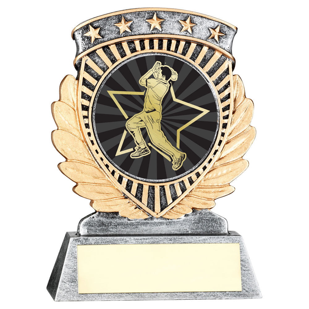 Cricket Bowler 5 Star Achievement Award
