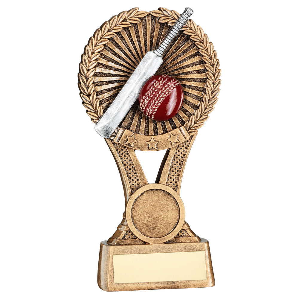 Cricket Achievement Statue Trophy