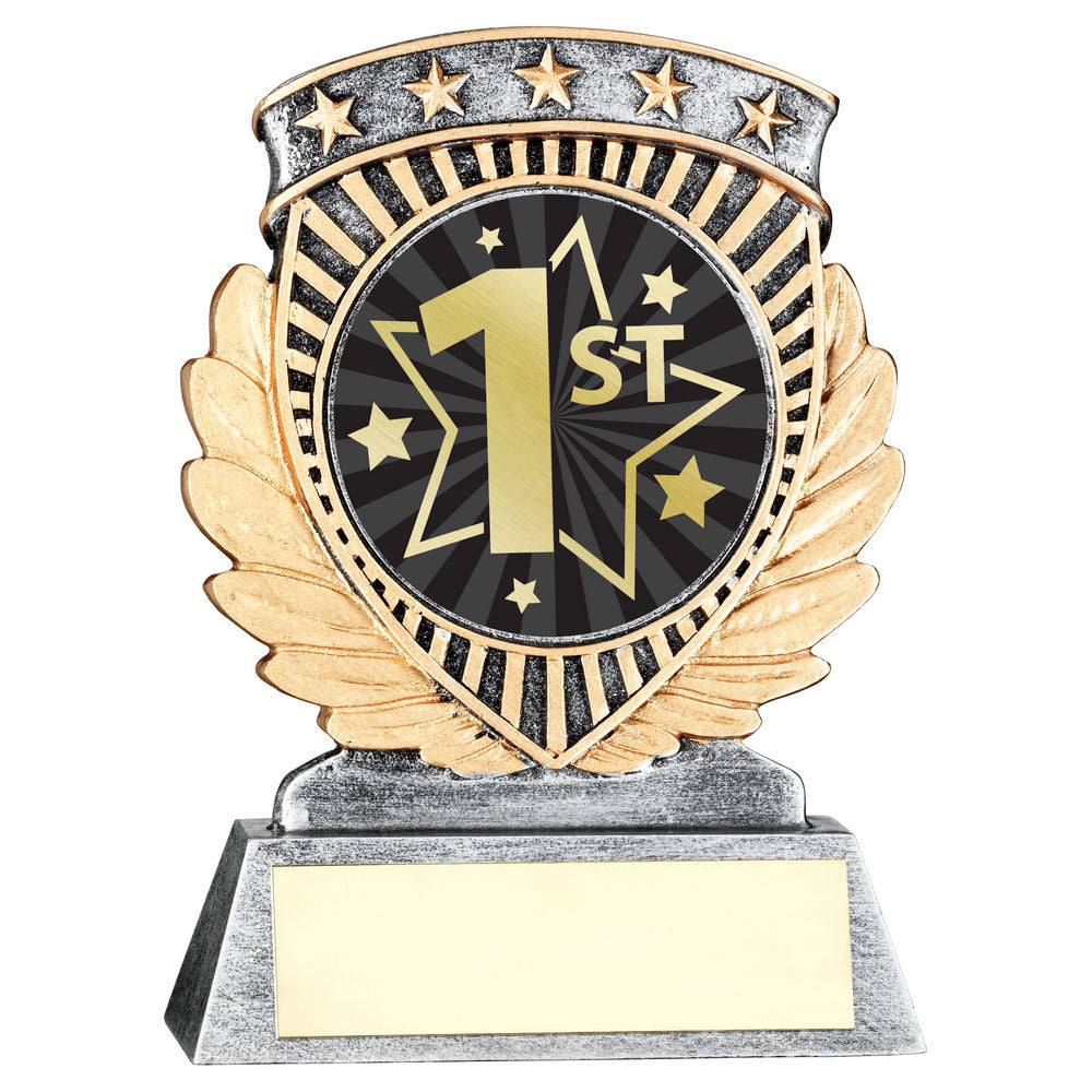 1st Place Star Achievement Award