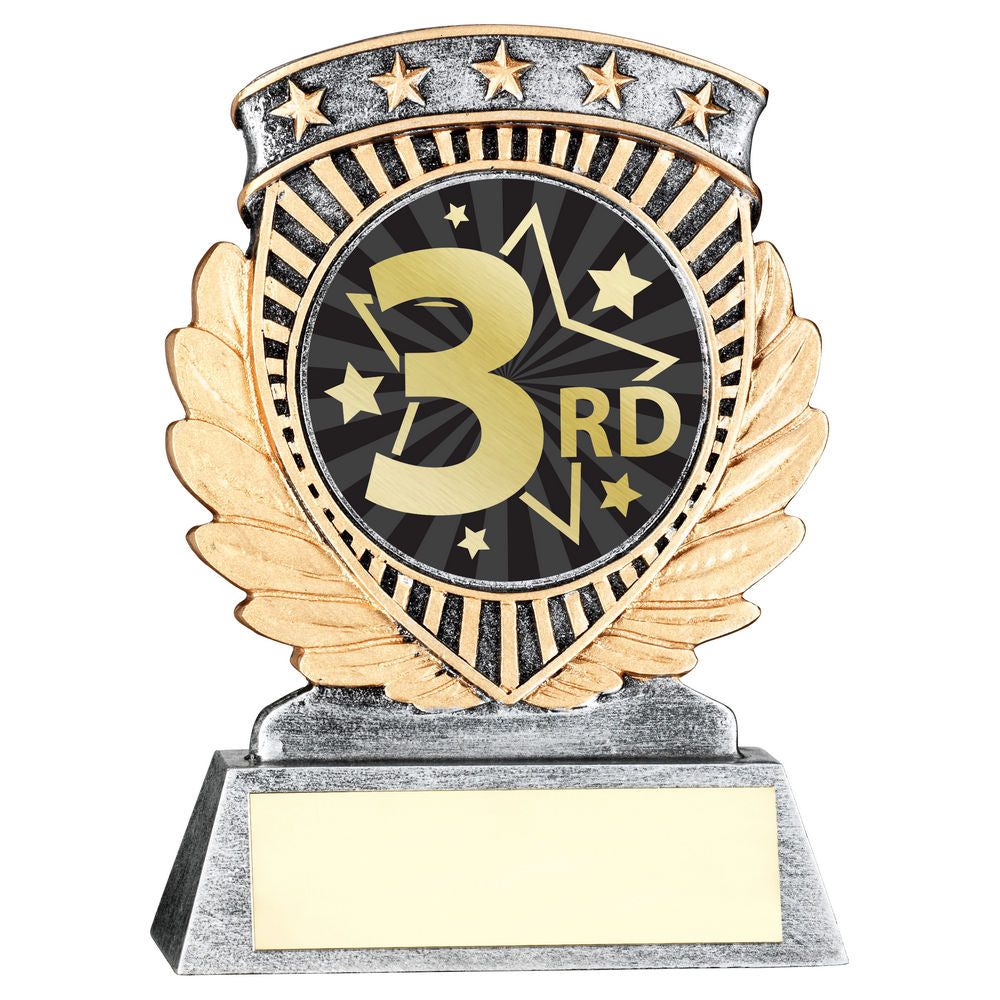 3rd Place Star Achievement Award
