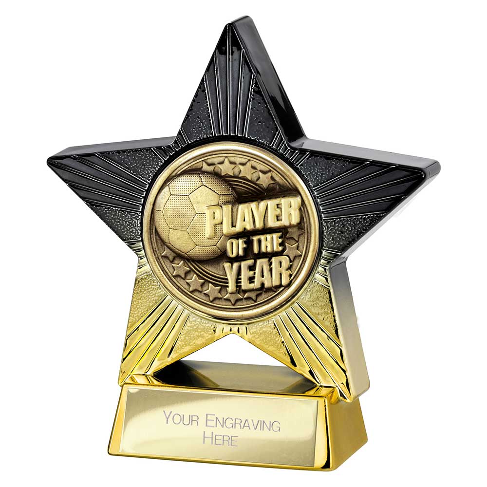 Superstar Player of the Year Award (Black/Gold)