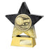 Superstar Player of the Year Award (Black/Gold)