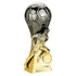 Trailblazer Womens Football Trophy (Silver/Gold)
