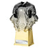 Invincible Football Shirt Trophy (Silver/Gold)