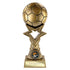 Star Breaker Football Award (Gold)