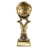 Star Breaker Football Award (Gold)
