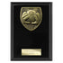 Cobra Plaque Football Goalkeeper Award (Black)