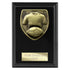 Cobra Plaque Football Shirt & Ball Award (Black)