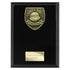 Cobra Football Parents Player Plaque Award (Black)