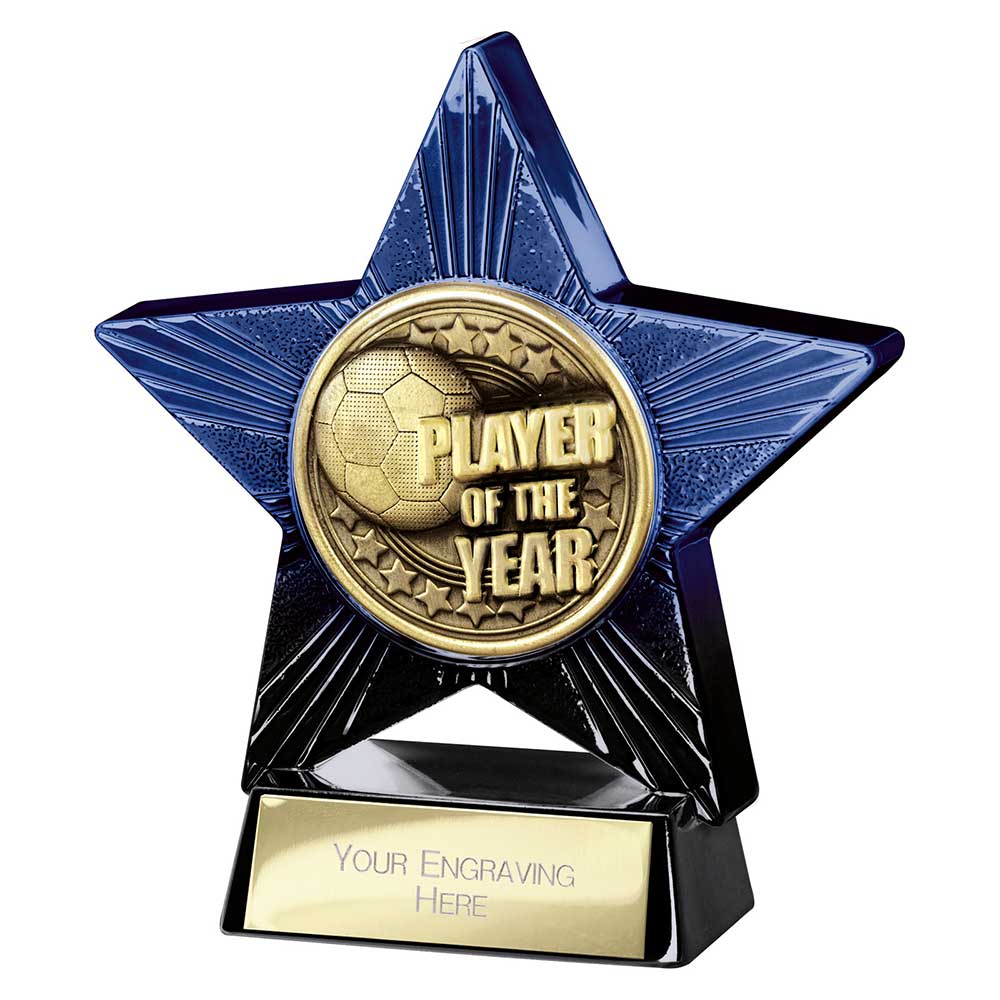 Superstar Player of Year Award - Blue & Black
