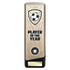 Prime Player of the Year Football Trophy (Gold/Black)