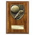 Cobra Plaque Football Boot & Ball Award Walnut