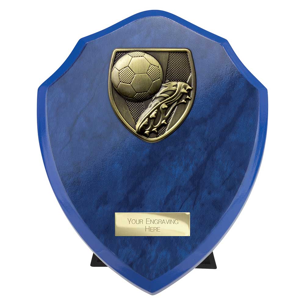 Cobra Shield Football Boot & Ball Award (Blue)