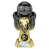 Tournament Football Trophy (Gold & Black)